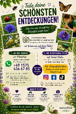 Plakat zur Foto-Aktion mit Hinweisen zum Teilen eigener Naturaufnahmen