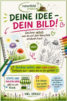 Vorschau auf die Malvorlage mit Naturmotiven zum Ausmalen