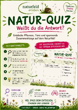 Vorschau auf den Quizbogen mit Fragen rund um das Naturfeld